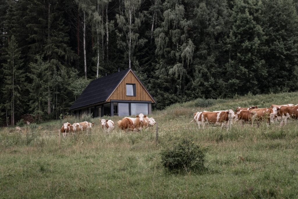 Foto: Natálie Hilgertová