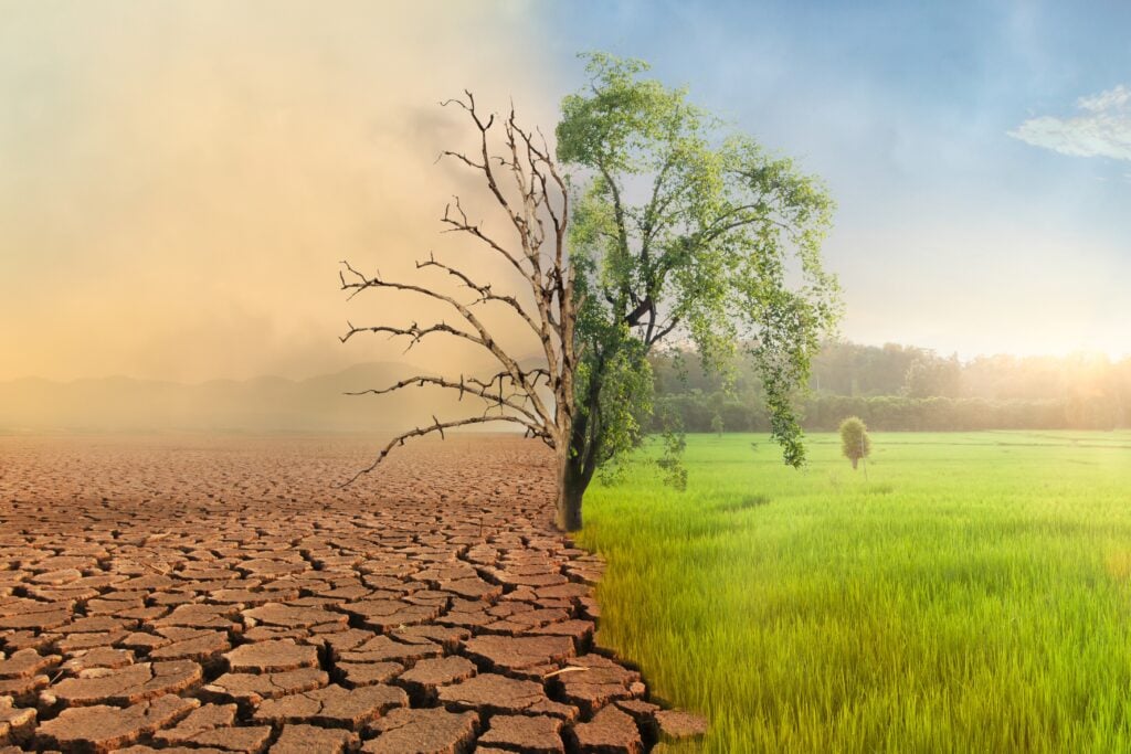Foto: Shutterstock.com