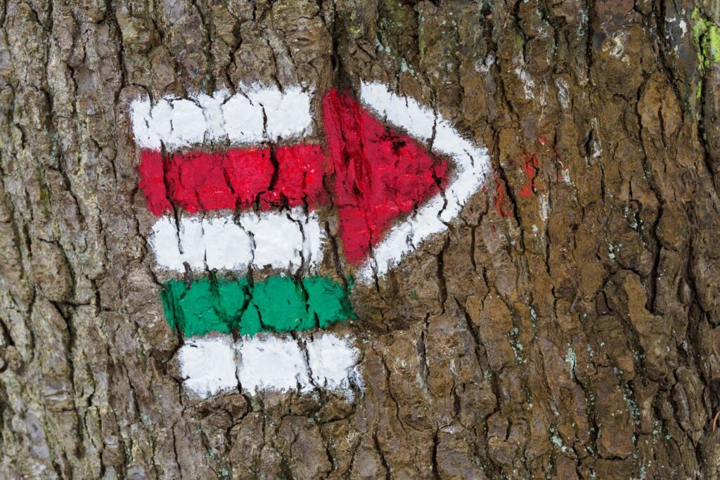 Foto: Shutterstock.com