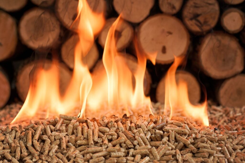 Foto: Shutterstock.com