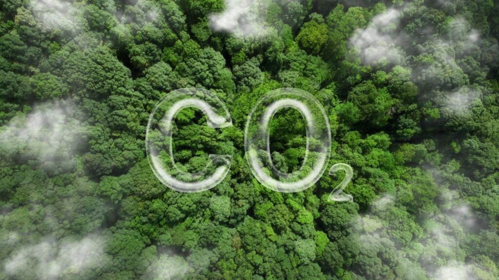 Foto: Shutterstock.com