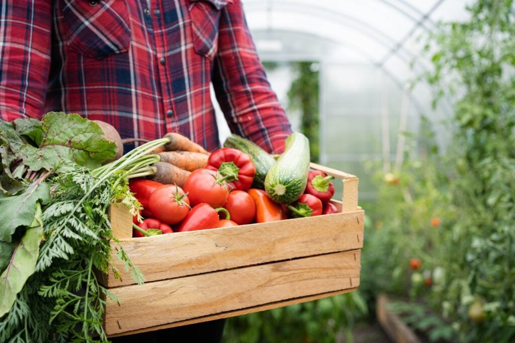 Foto: Shutterstock.com