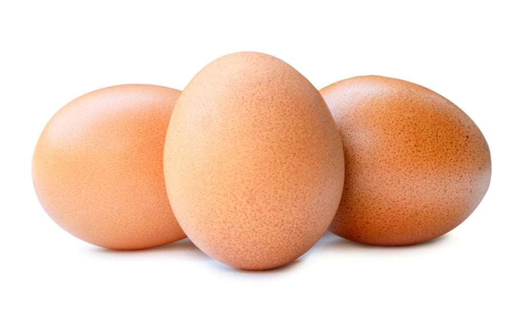 Foto: Shutterstock.com